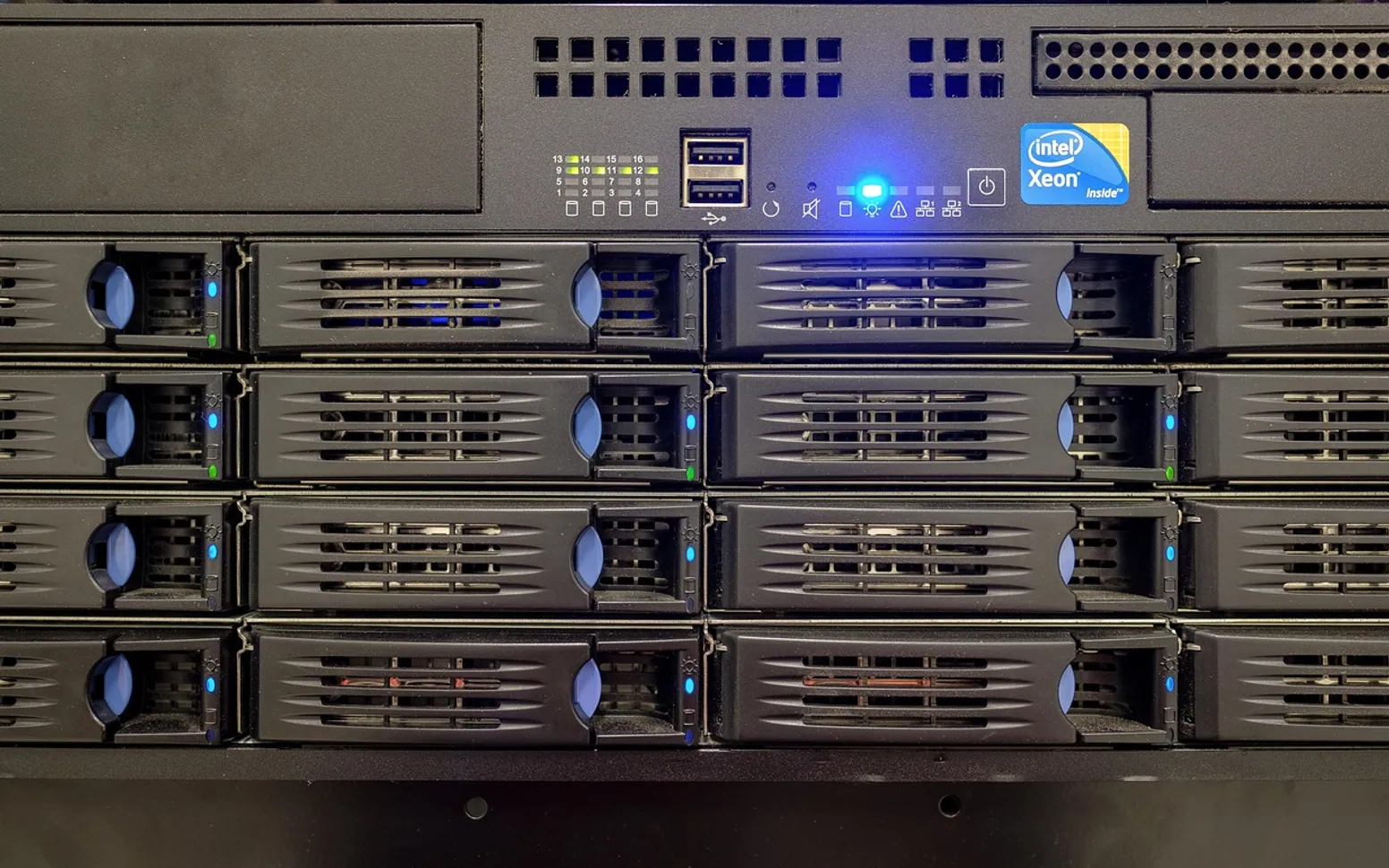 Server, drive bay and hard drives